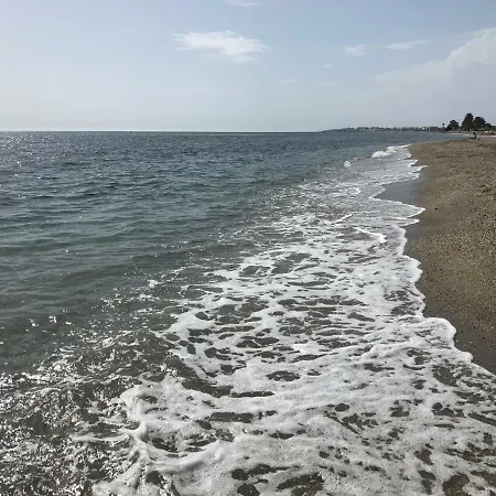 Nuevo Apartamento En Primera Linea De Playa